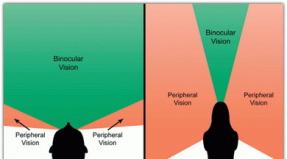 Как развить боковое зрение: упражнения Развитие периферийного зрения