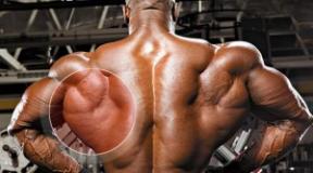 Упражнения для мышц спины